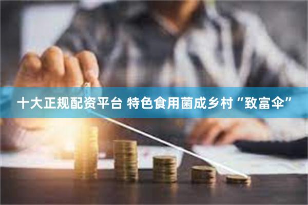 十大正规配资平台 特色食用菌成乡村“致富伞”