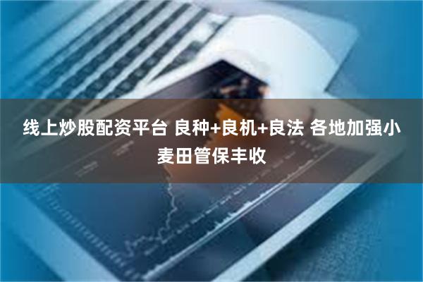 线上炒股配资平台 良种+良机+良法 各地加强小麦田管保丰收