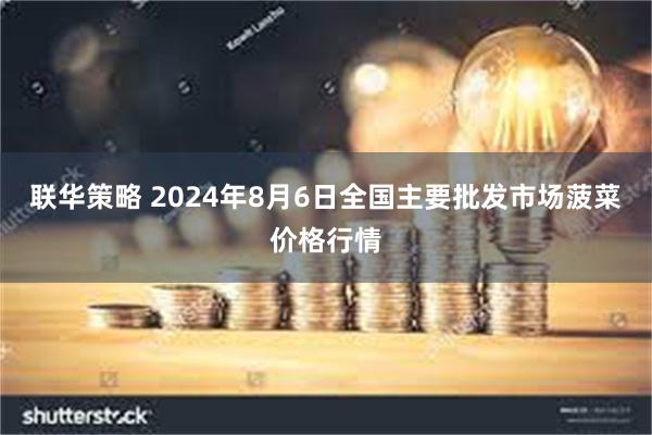 联华策略 2024年8月6日全国主要批发市场菠菜价格行情