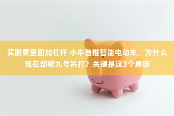 买股票里面加杠杆 小牛首推智能电动车，为什么现在却被九号吊打？关键是这3个原因