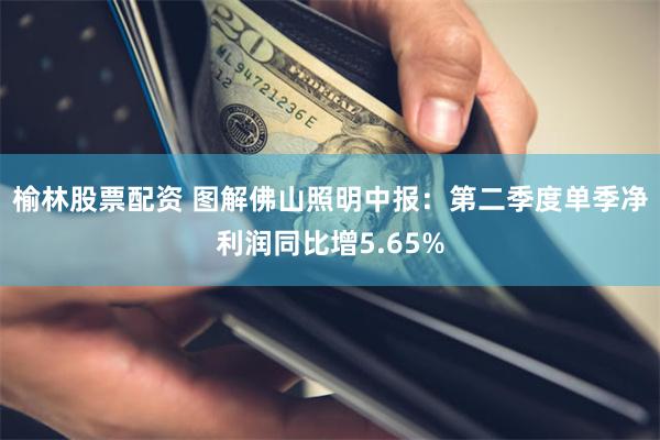 榆林股票配资 图解佛山照明中报：第二季度单季净利润同比增5.65%