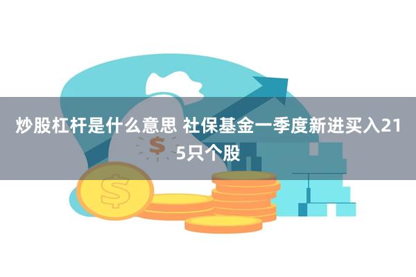 炒股杠杆是什么意思 社保基金一季度新进买入215只个股