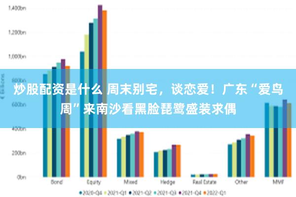 炒股配资是什么 周末别宅，谈恋爱！广东“爱鸟周”来南沙看黑脸