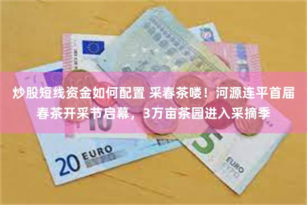 炒股短线资金如何配置 采春茶喽！河源连平首届春茶开采节启幕，