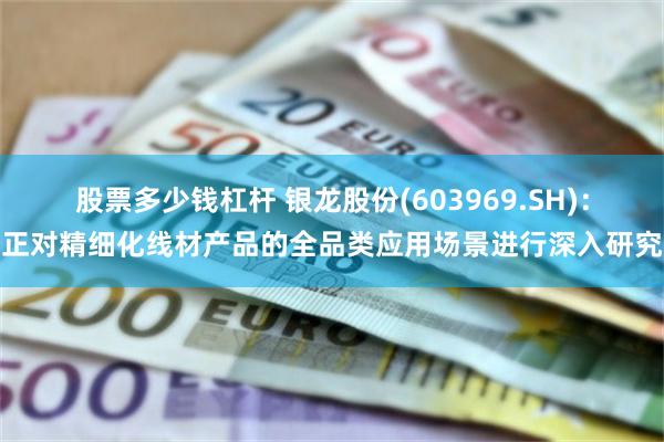 股票多少钱杠杆 银龙股份(603969.SH)：正对精细化线