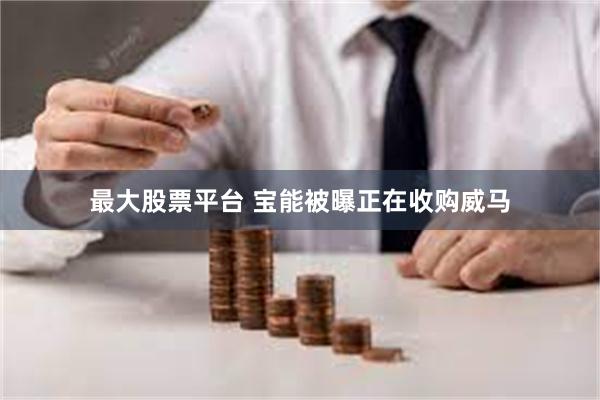 最大股票平台 宝能被曝正在收购威马