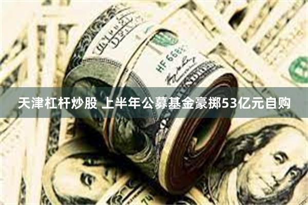天津杠杆炒股 上半年公募基金豪掷53亿元自购