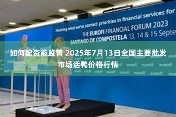 如何配资能监管 2025年7月13日全国主要批发市场活鸭价格