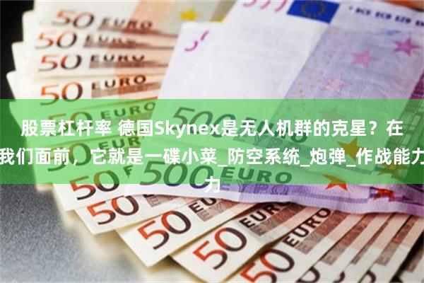 股票杠杆率 德国Skynex是无人机群的克星？在我们面前，它