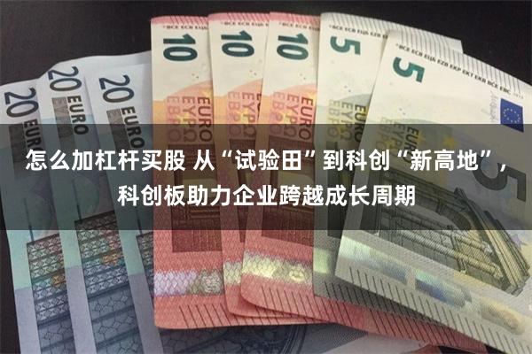 怎么加杠杆买股 从“试验田”到科创“新高地”，科创板助力企业