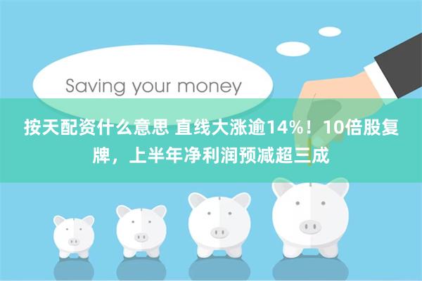 按天配资什么意思 直线大涨逾14%！10倍股复牌，上半年净利