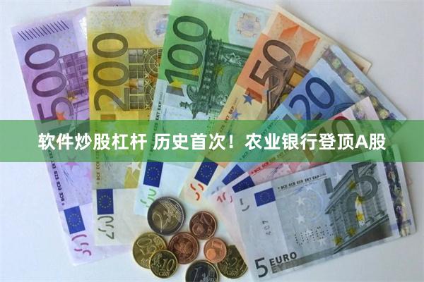 软件炒股杠杆 历史首次！农业银行登顶A股
