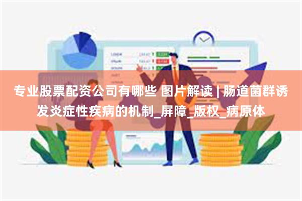 专业股票配资公司有哪些 图片解读 | 肠道菌群诱发炎症性疾病