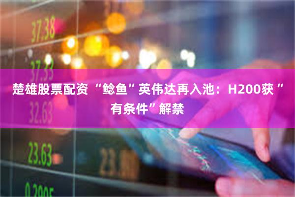 楚雄股票配资 “鲶鱼”英伟达再入池：H200获“有条件”解禁